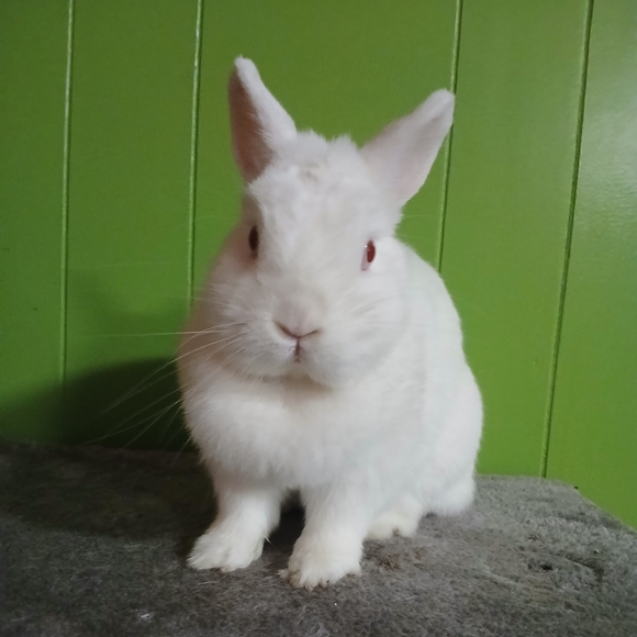 Dawn 🖤 - Picture 2 of 4